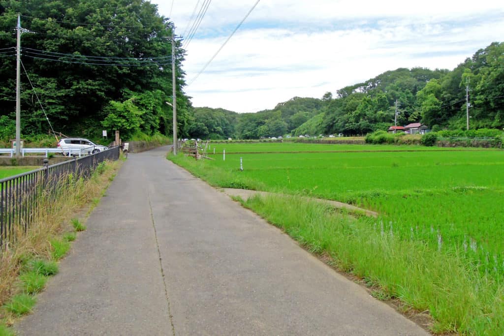 ふるさと開拓サービス